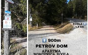 Apartma Borovnica Rogla